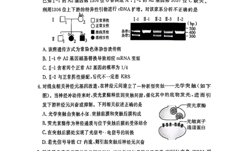 生物试题(1)_2026年1月_260115北京市东城区2025-2026学年高三上学期1月期末考试（全科）_北京市东城区2025-2026学年高三上学期期末考试生物