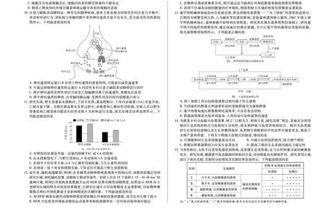 生物学A卷高三小高考(三)(1)_2026年1月_260114河南省多校小高考2025-2026学年高三上学期素质评价（三）（全）_河南省多校小高考2025-2026学年高三上学期素质评价（三）生物A卷试题
