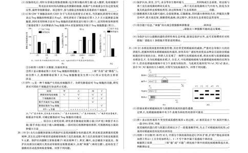 生物学A卷高三小高考(三)(1)_2026年1月_260114河南省多校小高考2025-2026学年高三上学期素质评价（三）（全）_河南省多校小高考2025-2026学年高三上学期素质评价（三）生物A卷试题