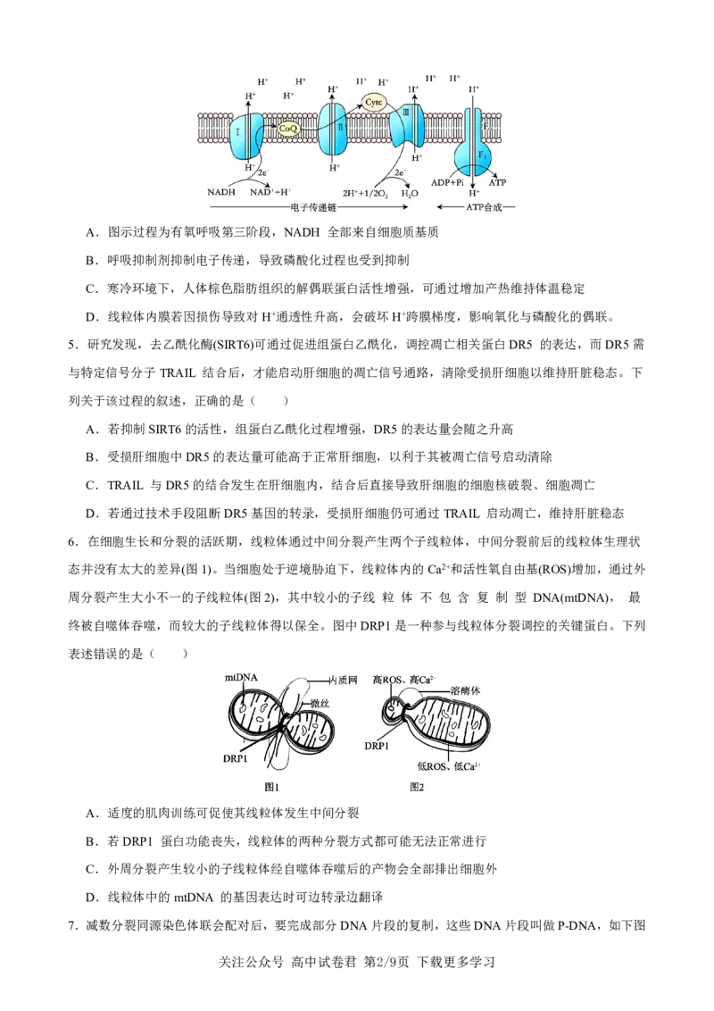 生物2026届高三高考模拟调研（一）试卷(1)_2026年1月_2601072026年重庆市高三康德高考模拟调研卷（一）（全科）