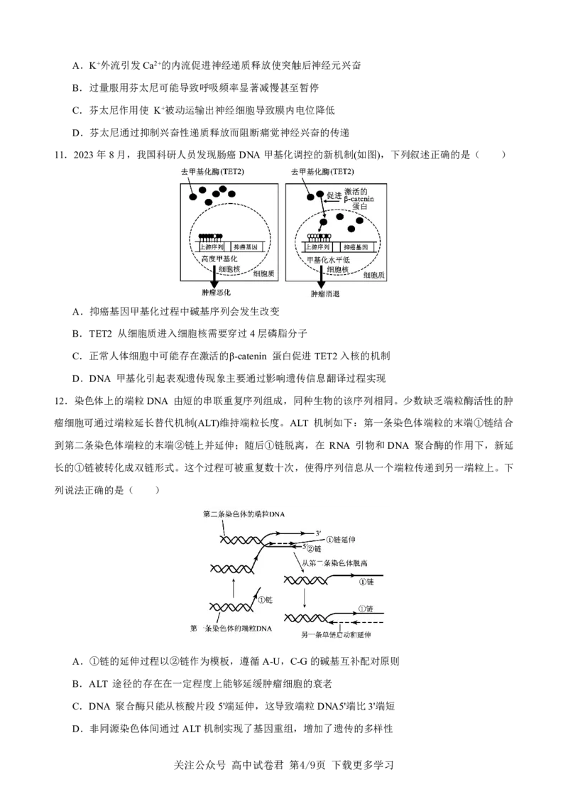 生物2026届高三高考模拟调研（一）试卷(1)_2026年1月_2601072026年重庆市高三康德高考模拟调研卷（一）（全科）