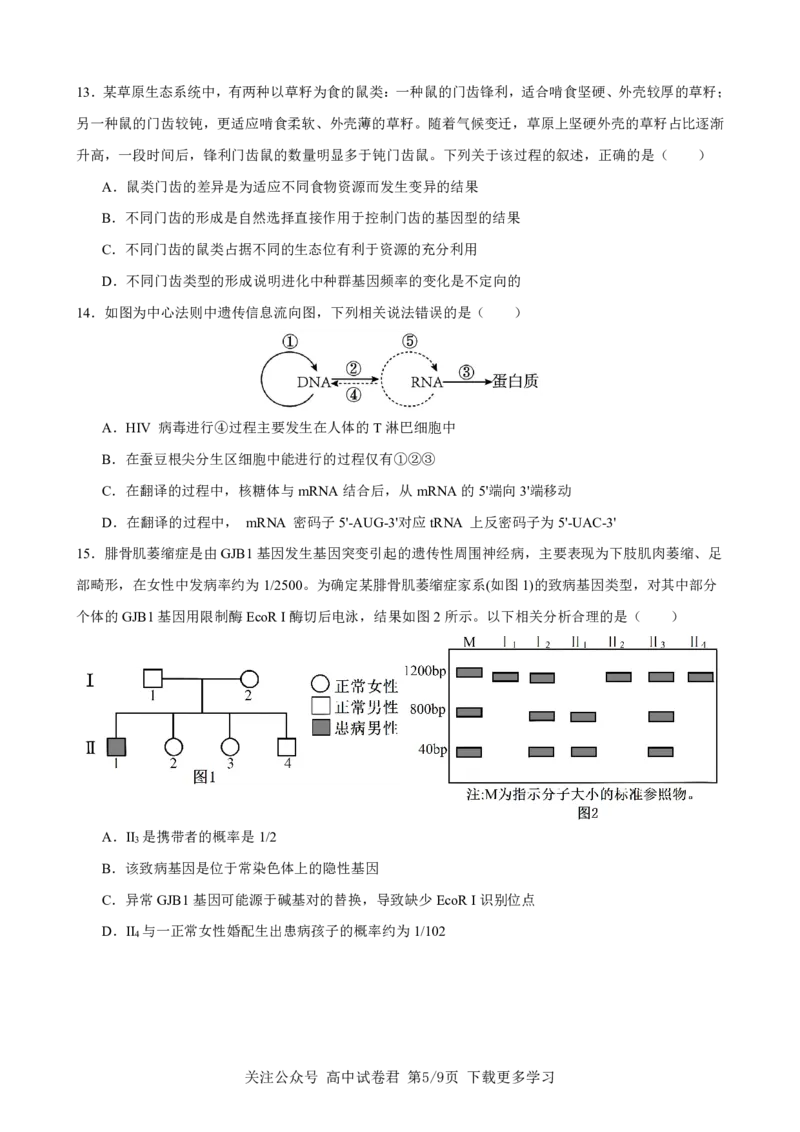 生物2026届高三高考模拟调研（一）试卷(1)_2026年1月_2601072026年重庆市高三康德高考模拟调研卷（一）（全科）