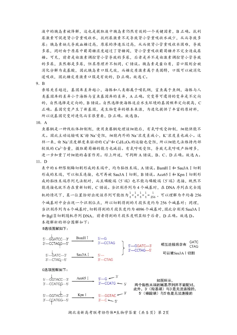 2023年湖北省新高考联考协作体高三9月起点考试生物答案_2023年9月_01每日更新_10号_2024届湖北省新高考联考协作体高三9月起点考试_湖北省2024届新高考联考协作体高三9月起点考试生物