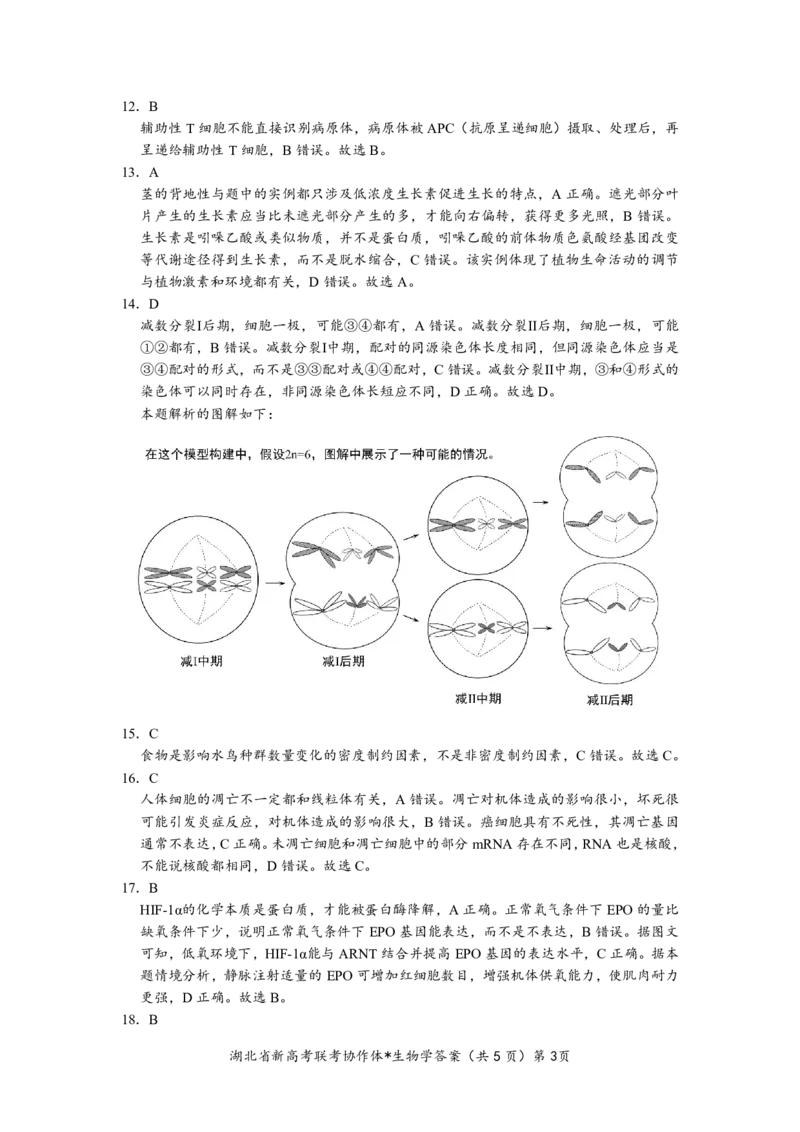 2023年湖北省新高考联考协作体高三9月起点考试生物答案_2023年9月_01每日更新_10号_2024届湖北省新高考联考协作体高三9月起点考试_湖北省2024届新高考联考协作体高三9月起点考试生物