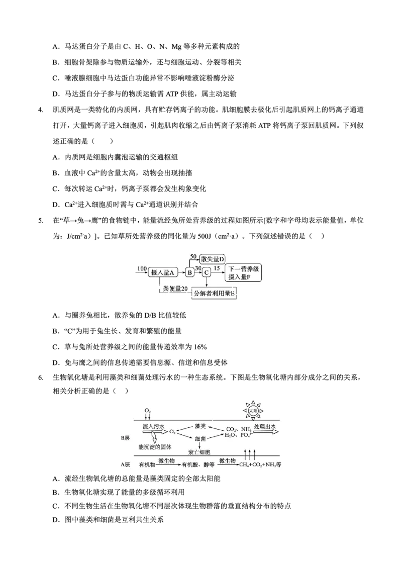 重庆市西北狼教育联盟2026届高三上学期开学学情诊断生物试题卷+答案_2025年9月_250915重庆市西北狼教育联盟2026届高三上学期开学学情诊断（全科）