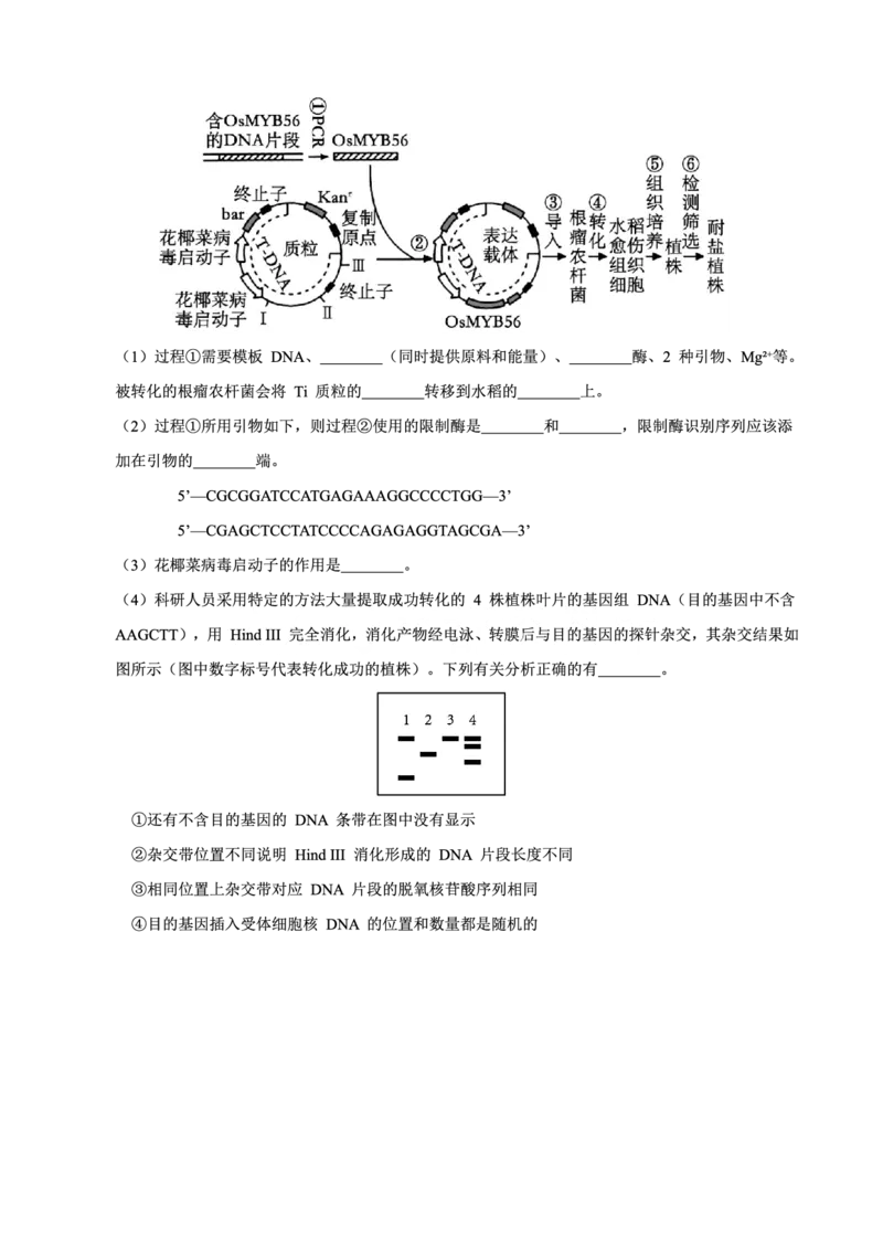 重庆市西北狼教育联盟2026届高三上学期开学学情诊断生物试题卷+答案_2025年9月_250915重庆市西北狼教育联盟2026届高三上学期开学学情诊断（全科）