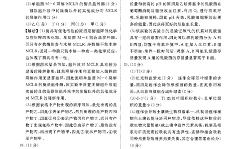 广东省衡水金卷2023-2024学年高三上学期10月份大联考生物答案(1)_2023年10月_0210月合集_2024届广东省衡水金卷高三上学期10月份大联考_广东省衡水金卷2024届高三上学期10月份大联考生物