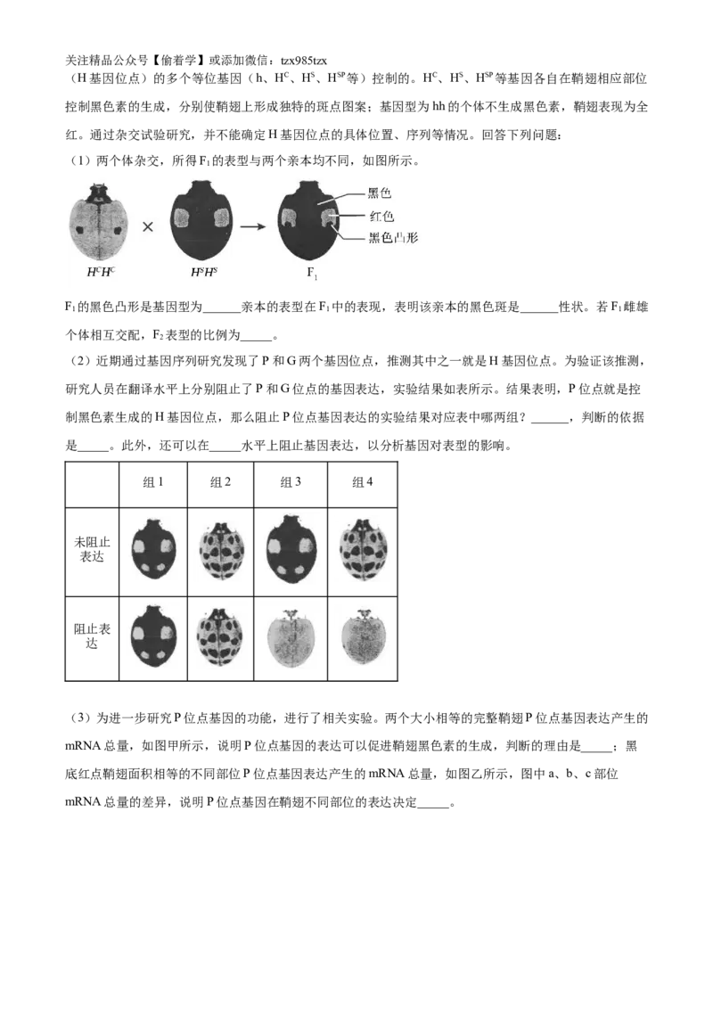 精品解析：2024年6月浙江卷生物高考真题（解析版）_高考真题全网收集_生物学_精品解析：2024年新高考6月浙江卷生物高考真题解析（参考版）