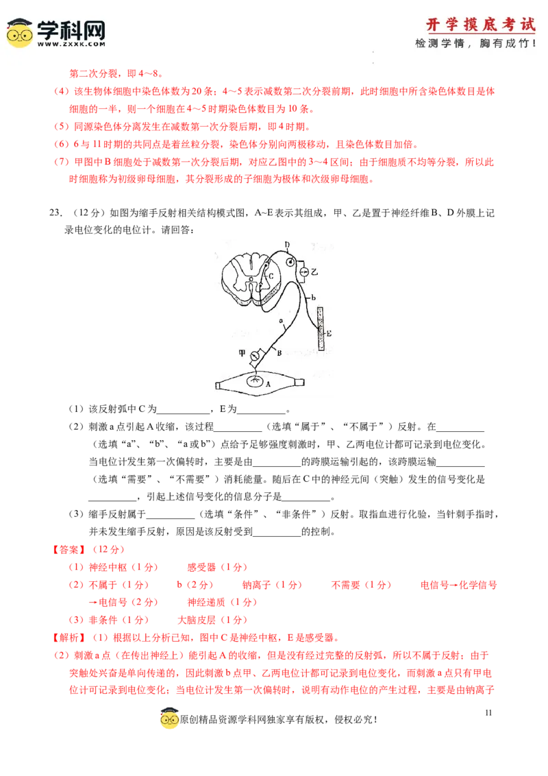 生物-2024届新高三开学摸底考试卷（江西、安徽、贵州、广西、黑龙江、吉林、甘肃七省通用）(解析版)_2024届新高三开学摸底考试卷_生物-2024届新高三开学摸底考试卷