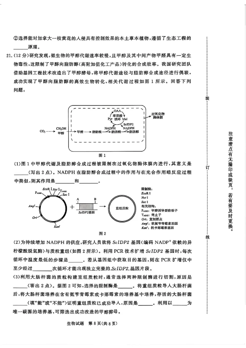 生物(1)(1)_2026年1月_260115河南省青桐鸣大联考2025-2026学年高三上学期1月月考（全科）_河南省青桐鸣大联考2025-2026学年高三上学期1月月考生物试题含答案