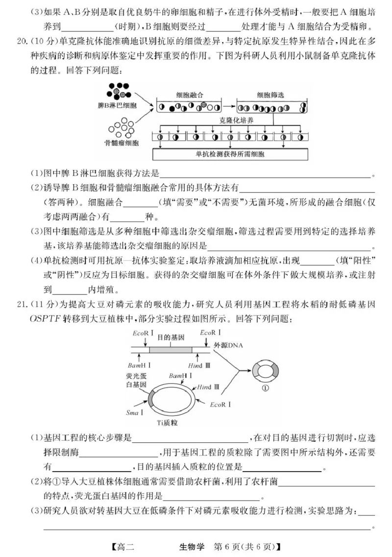青海省西宁市大通县2024-2025学年高二下学期期末联考生物试卷（含答案）_2025年8月_250801青海省西宁市大通县2024-2025学年高二下学期期末联考（全科）