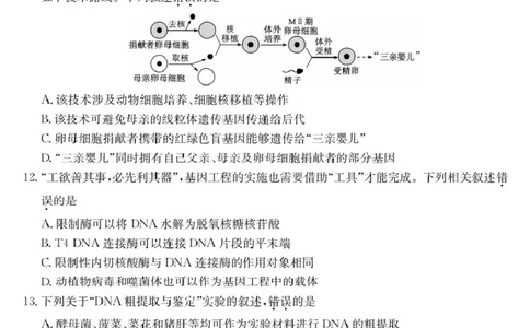 青海省西宁市大通县2024-2025学年高二下学期期末联考生物试卷（含答案）_2025年8月_250801青海省西宁市大通县2024-2025学年高二下学期期末联考（全科）