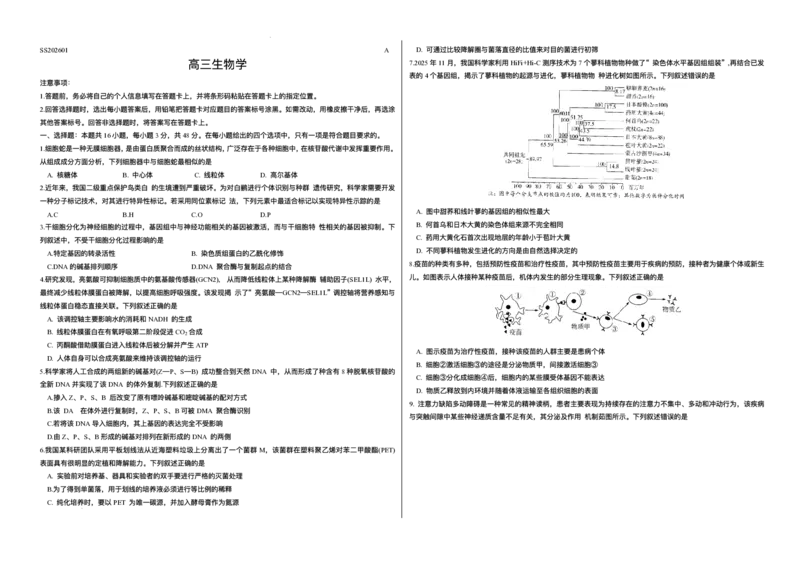 山西省天一四省联考2025-2026学年高三上学期1月月考生物试题(1)_2026年1月_260113天一小高考2026届高三（上）四省1月联考_天一四省联考2026届高三上学期1月月考生物试题+答案