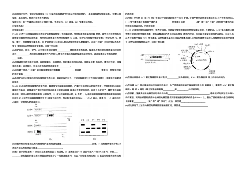 山西省天一四省联考2025-2026学年高三上学期1月月考生物试题(1)_2026年1月_260113天一小高考2026届高三（上）四省1月联考_天一四省联考2026届高三上学期1月月考生物试题+答案