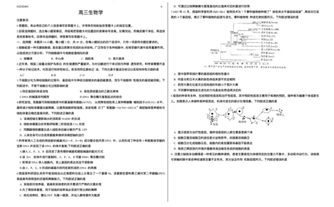 山西省天一四省联考2025-2026学年高三上学期1月月考生物试题(1)_2026年1月_260113天一小高考2026届高三（上）四省1月联考_天一四省联考2026届高三上学期1月月考生物试题+答案