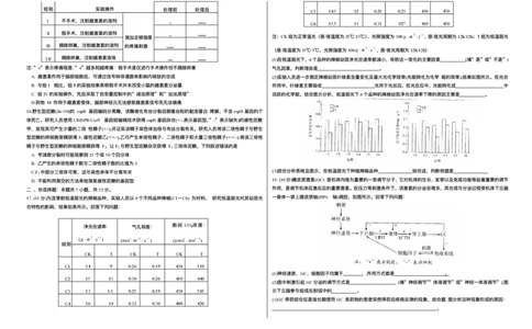 山西省天一四省联考2025-2026学年高三上学期1月月考生物试题(1)_2026年1月_260113天一小高考2026届高三（上）四省1月联考_天一四省联考2026届高三上学期1月月考生物试题+答案