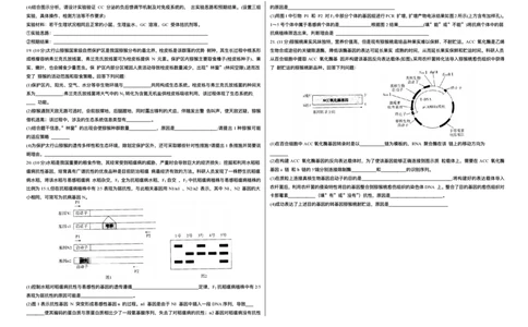 山西省天一四省联考2025-2026学年高三上学期1月月考生物试题(1)_2026年1月_260113天一小高考2026届高三（上）四省1月联考_天一四省联考2026届高三上学期1月月考生物试题+答案
