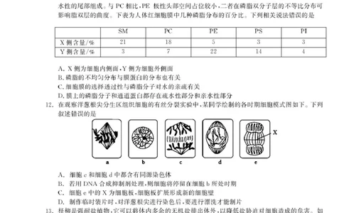 辽宁省名校联盟2025-2026学年高三上学期8月份联合考试生物试题_2025年8月_250821辽宁省名校联盟2025-2026学年高三上学期8月份联合考试