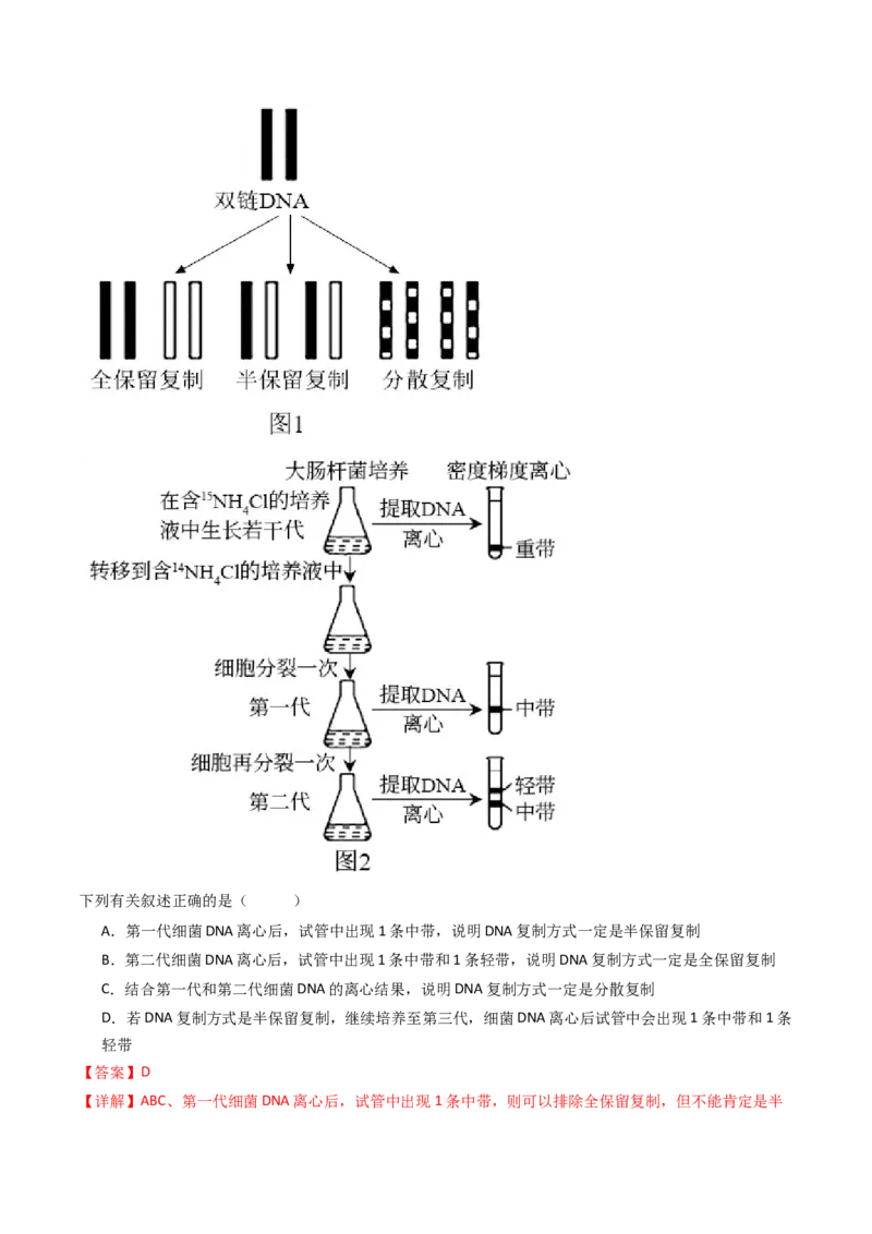 专题10遗传的分子基础（解析卷）_近10年高考真题汇编（必刷）_十年（2014-2024）高考生物真题分项汇编（全国通用）_十年（2014-2023）高考生物真题分项汇编（全国通用）