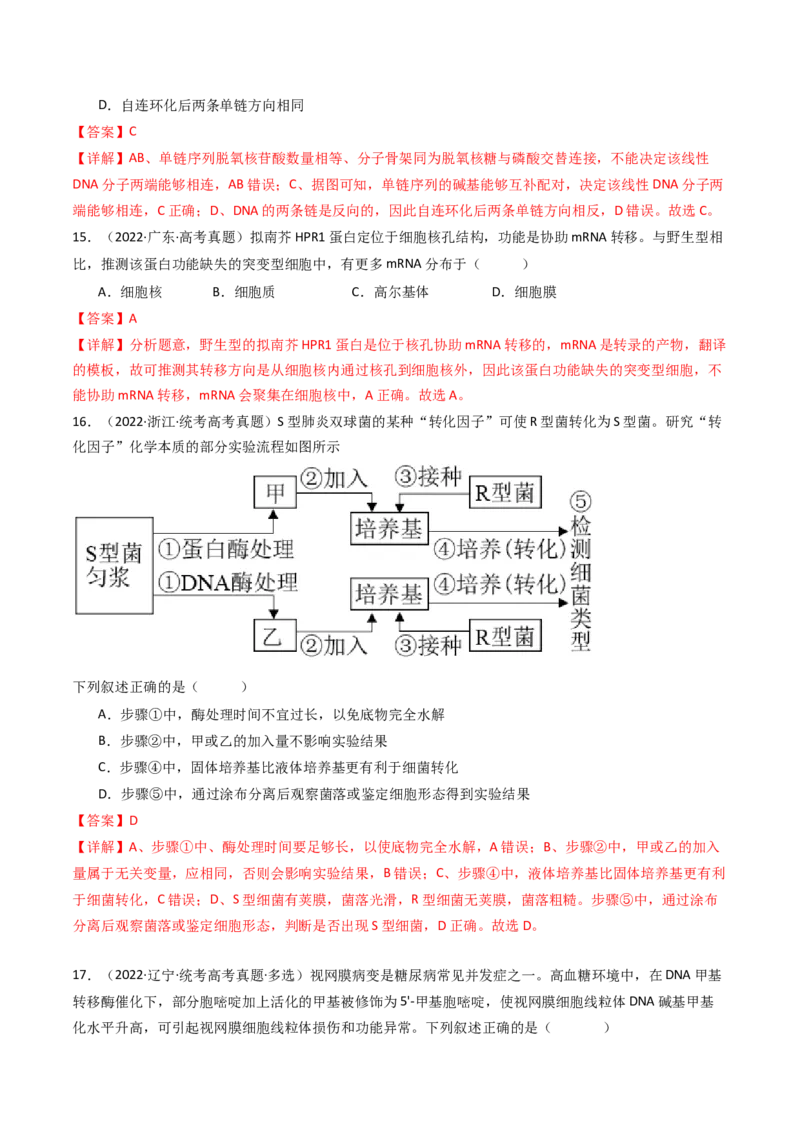 专题10遗传的分子基础（解析卷）_近10年高考真题汇编（必刷）_十年（2014-2024）高考生物真题分项汇编（全国通用）_十年（2014-2023）高考生物真题分项汇编（全国通用）