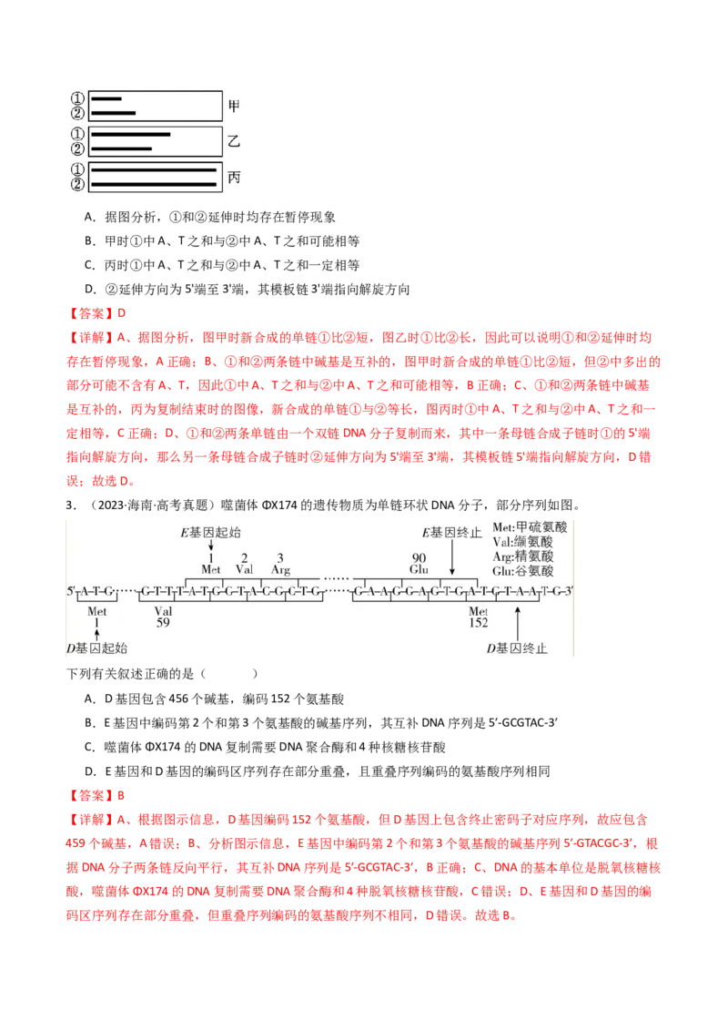 专题10遗传的分子基础（解析卷）_近10年高考真题汇编（必刷）_十年（2014-2024）高考生物真题分项汇编（全国通用）_十年（2014-2023）高考生物真题分项汇编（全国通用）