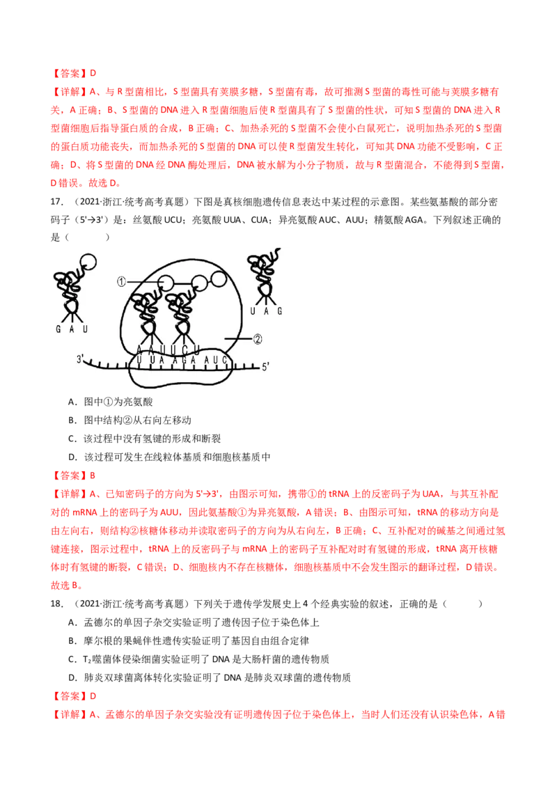 专题10遗传的分子基础（解析卷）_近10年高考真题汇编（必刷）_十年（2014-2024）高考生物真题分项汇编（全国通用）_十年（2014-2023）高考生物真题分项汇编（全国通用）