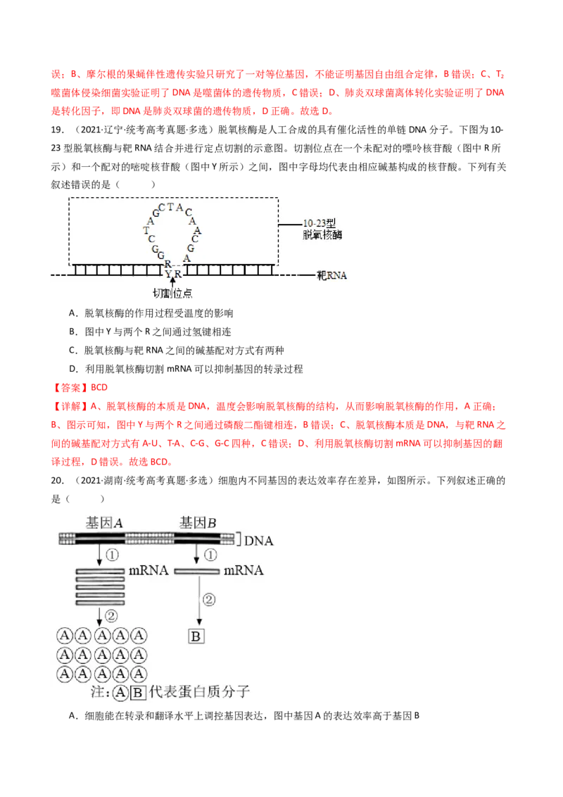 专题10遗传的分子基础（解析卷）_近10年高考真题汇编（必刷）_十年（2014-2024）高考生物真题分项汇编（全国通用）_十年（2014-2023）高考生物真题分项汇编（全国通用）