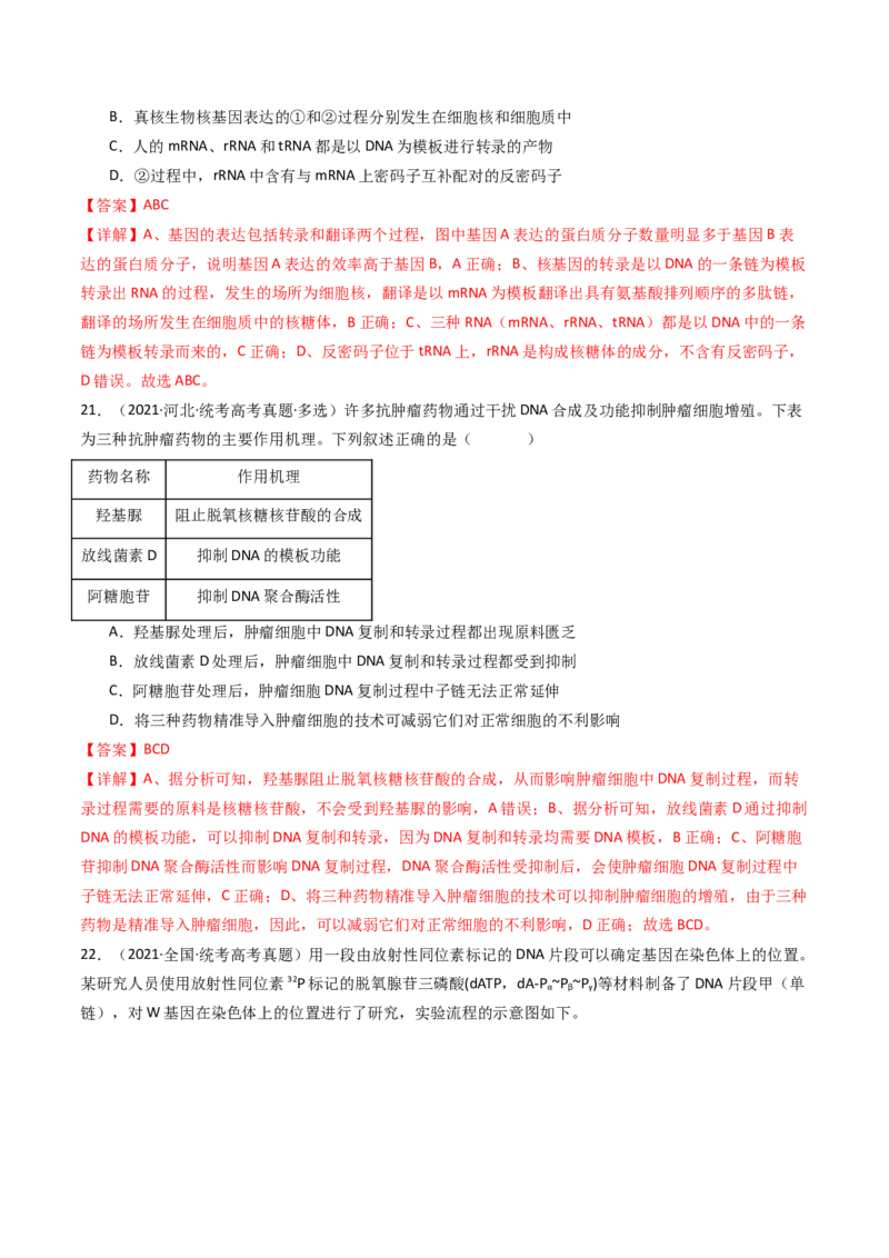 专题10遗传的分子基础（解析卷）_近10年高考真题汇编（必刷）_十年（2014-2024）高考生物真题分项汇编（全国通用）_十年（2014-2023）高考生物真题分项汇编（全国通用）