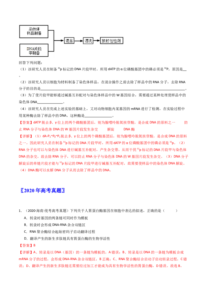专题10遗传的分子基础（解析卷）_近10年高考真题汇编（必刷）_十年（2014-2024）高考生物真题分项汇编（全国通用）_十年（2014-2023）高考生物真题分项汇编（全国通用）