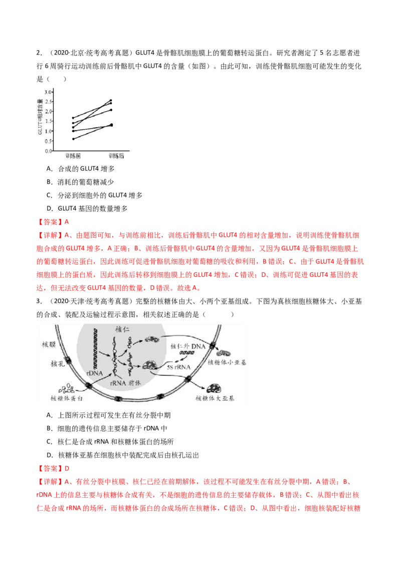 专题10遗传的分子基础（解析卷）_近10年高考真题汇编（必刷）_十年（2014-2024）高考生物真题分项汇编（全国通用）_十年（2014-2023）高考生物真题分项汇编（全国通用）
