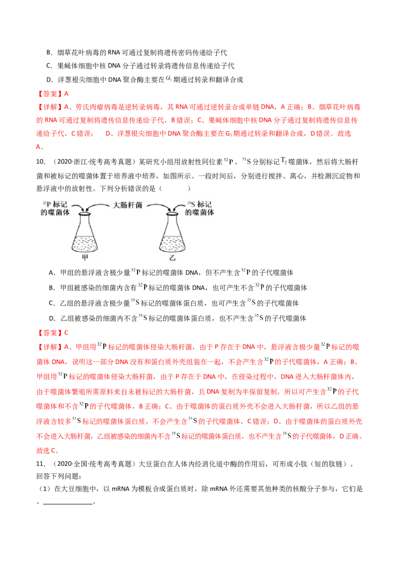 专题10遗传的分子基础（解析卷）_近10年高考真题汇编（必刷）_十年（2014-2024）高考生物真题分项汇编（全国通用）_十年（2014-2023）高考生物真题分项汇编（全国通用）