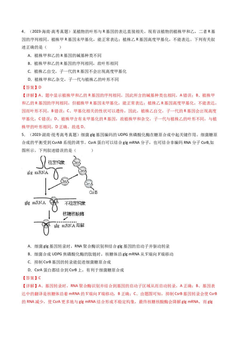 专题10遗传的分子基础（解析卷）_近10年高考真题汇编（必刷）_十年（2014-2024）高考生物真题分项汇编（全国通用）_十年（2014-2023）高考生物真题分项汇编（全国通用）
