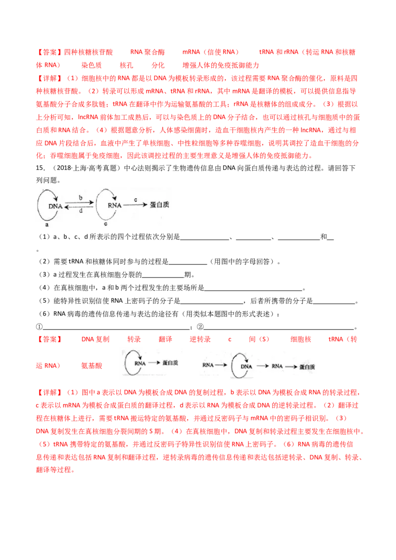 专题10遗传的分子基础（解析卷）_近10年高考真题汇编（必刷）_十年（2014-2024）高考生物真题分项汇编（全国通用）_十年（2014-2023）高考生物真题分项汇编（全国通用）