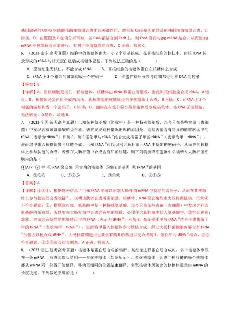 专题10遗传的分子基础（解析卷）_近10年高考真题汇编（必刷）_十年（2014-2024）高考生物真题分项汇编（全国通用）_十年（2014-2023）高考生物真题分项汇编（全国通用）