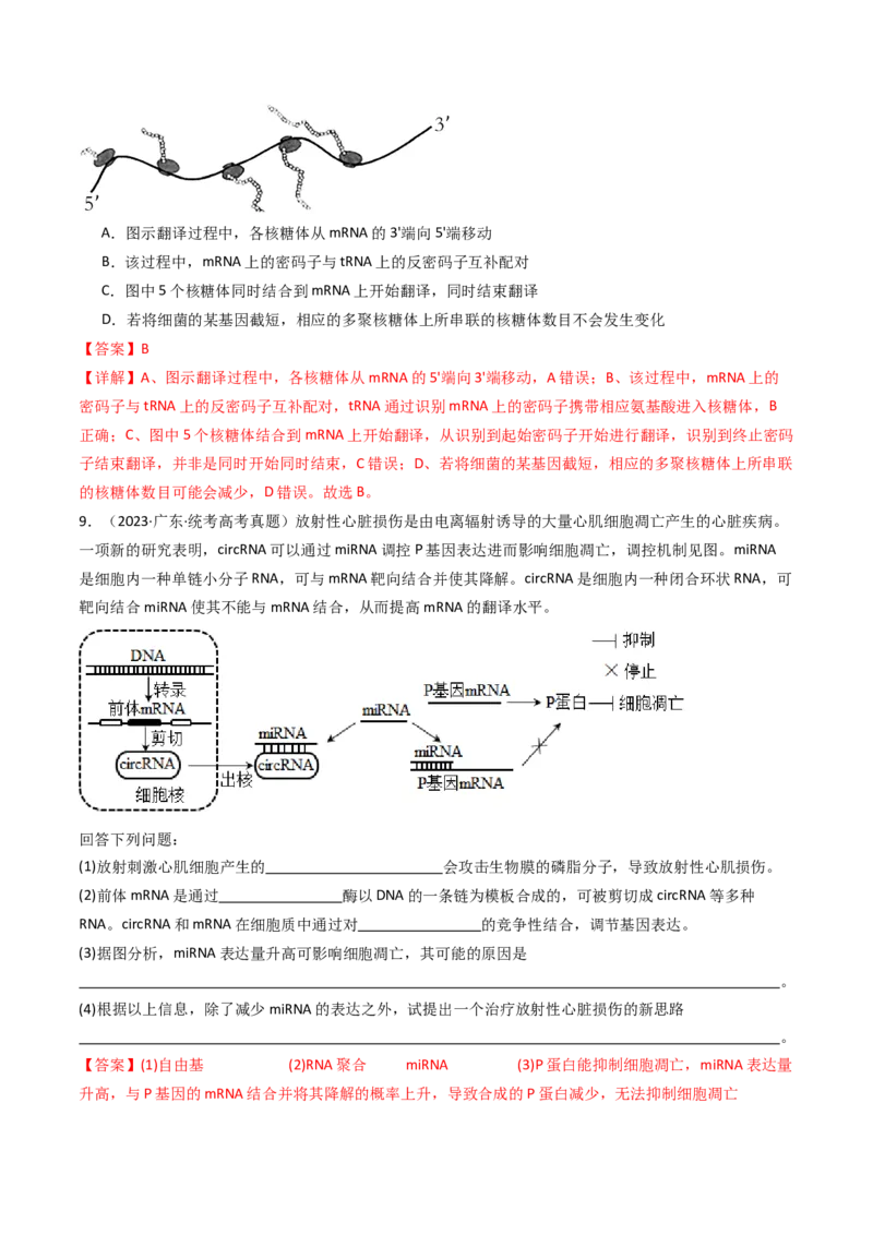 专题10遗传的分子基础（解析卷）_近10年高考真题汇编（必刷）_十年（2014-2024）高考生物真题分项汇编（全国通用）_十年（2014-2023）高考生物真题分项汇编（全国通用）