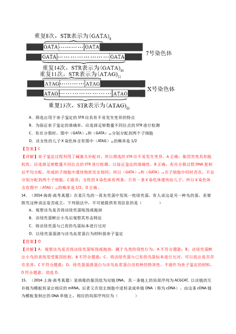 专题10遗传的分子基础（解析卷）_近10年高考真题汇编（必刷）_十年（2014-2024）高考生物真题分项汇编（全国通用）_十年（2014-2023）高考生物真题分项汇编（全国通用）
