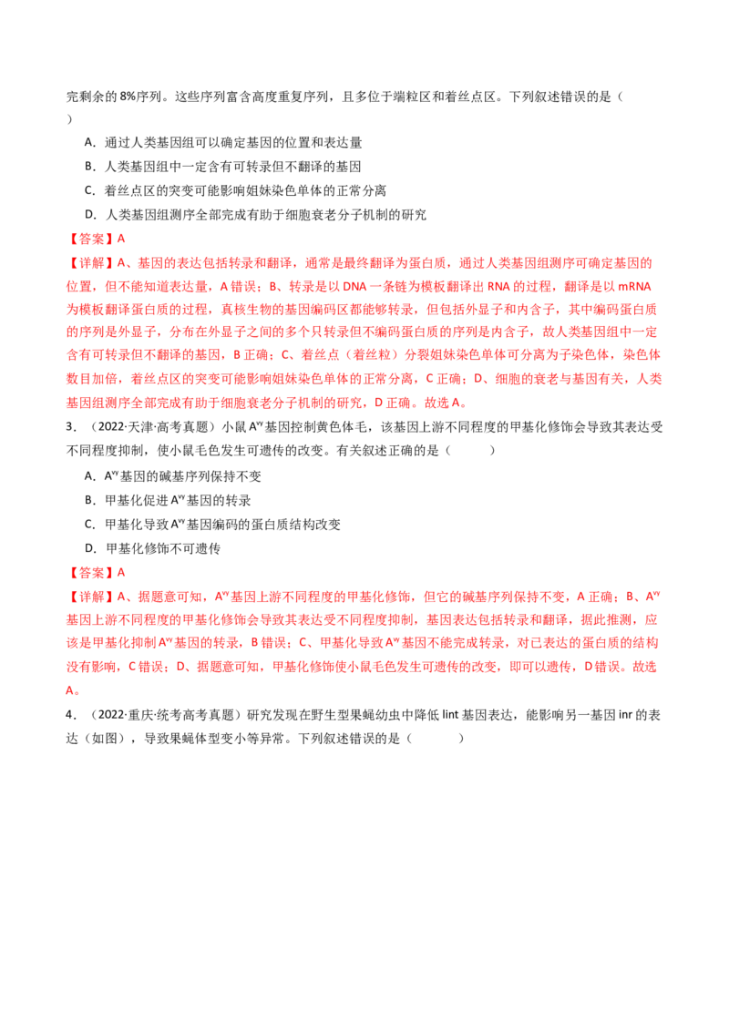 专题10遗传的分子基础（解析卷）_近10年高考真题汇编（必刷）_十年（2014-2024）高考生物真题分项汇编（全国通用）_十年（2014-2023）高考生物真题分项汇编（全国通用）