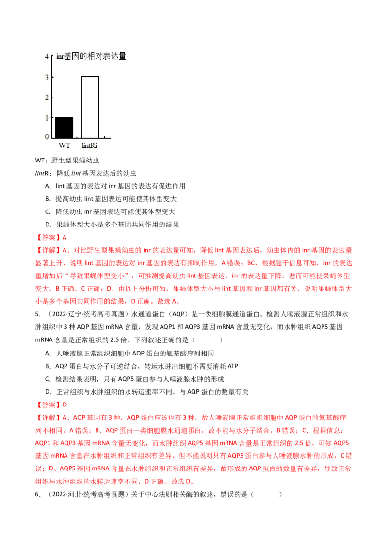 专题10遗传的分子基础（解析卷）_近10年高考真题汇编（必刷）_十年（2014-2024）高考生物真题分项汇编（全国通用）_十年（2014-2023）高考生物真题分项汇编（全国通用）
