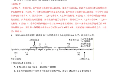 专题10遗传的分子基础（解析卷）_近10年高考真题汇编（必刷）_十年（2014-2024）高考生物真题分项汇编（全国通用）_十年（2014-2023）高考生物真题分项汇编（全国通用）