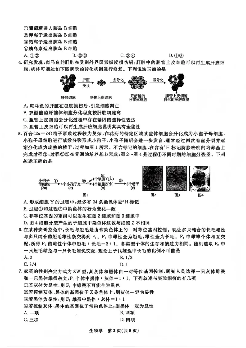 生物试题卷-吉林省吉林地区普通高中2025-2026学年度高中毕业年级2026届高三第二次调研测试（吉林二调）(1.15-1.17)(1)_2026年1月