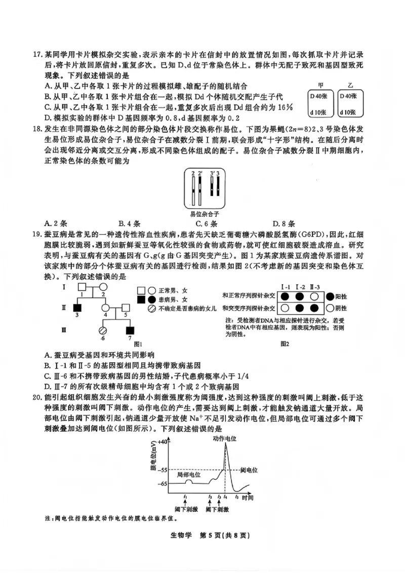 生物试题卷-吉林省吉林地区普通高中2025-2026学年度高中毕业年级2026届高三第二次调研测试（吉林二调）(1.15-1.17)(1)_2026年1月