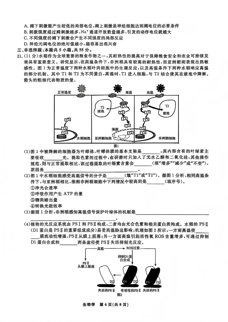 生物试题卷-吉林省吉林地区普通高中2025-2026学年度高中毕业年级2026届高三第二次调研测试（吉林二调）(1.15-1.17)(1)_2026年1月