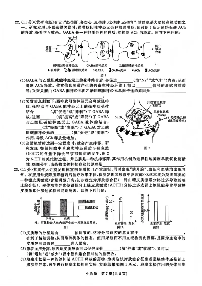 生物试题卷-吉林省吉林地区普通高中2025-2026学年度高中毕业年级2026届高三第二次调研测试（吉林二调）(1.15-1.17)(1)_2026年1月