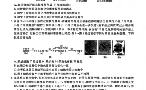 生物试题卷-吉林省吉林地区普通高中2025-2026学年度高中毕业年级2026届高三第二次调研测试（吉林二调）(1.15-1.17)(1)_2026年1月