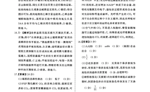 生物答案(1)(1)_2026年1月_260115河南省青桐鸣大联考2025-2026学年高三上学期1月月考（全科）_河南省青桐鸣大联考2025-2026学年高三上学期1月月考生物试题含答案