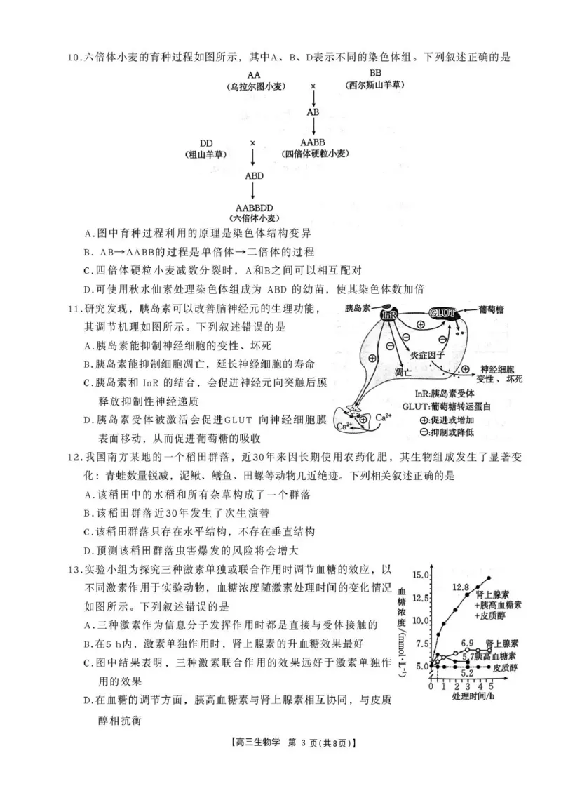 辽宁省辽阳市2026届高三上学期1月期末考试（26-214C）生物(1)_2026年1月_260115金太阳&middot;辽宁省辽阳市2026届高三上学期1月期末考试（26-214C）