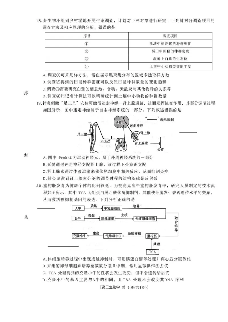 辽宁省辽阳市2026届高三上学期1月期末考试（26-214C）生物(1)_2026年1月_260115金太阳&middot;辽宁省辽阳市2026届高三上学期1月期末考试（26-214C）