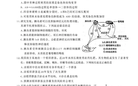 辽宁省辽阳市2026届高三上学期1月期末考试（26-214C）生物(1)_2026年1月_260115金太阳&middot;辽宁省辽阳市2026届高三上学期1月期末考试（26-214C）
