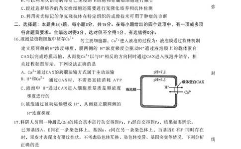 辽宁省辽阳市2026届高三上学期1月期末考试（26-214C）生物(1)_2026年1月_260115金太阳&middot;辽宁省辽阳市2026届高三上学期1月期末考试（26-214C）