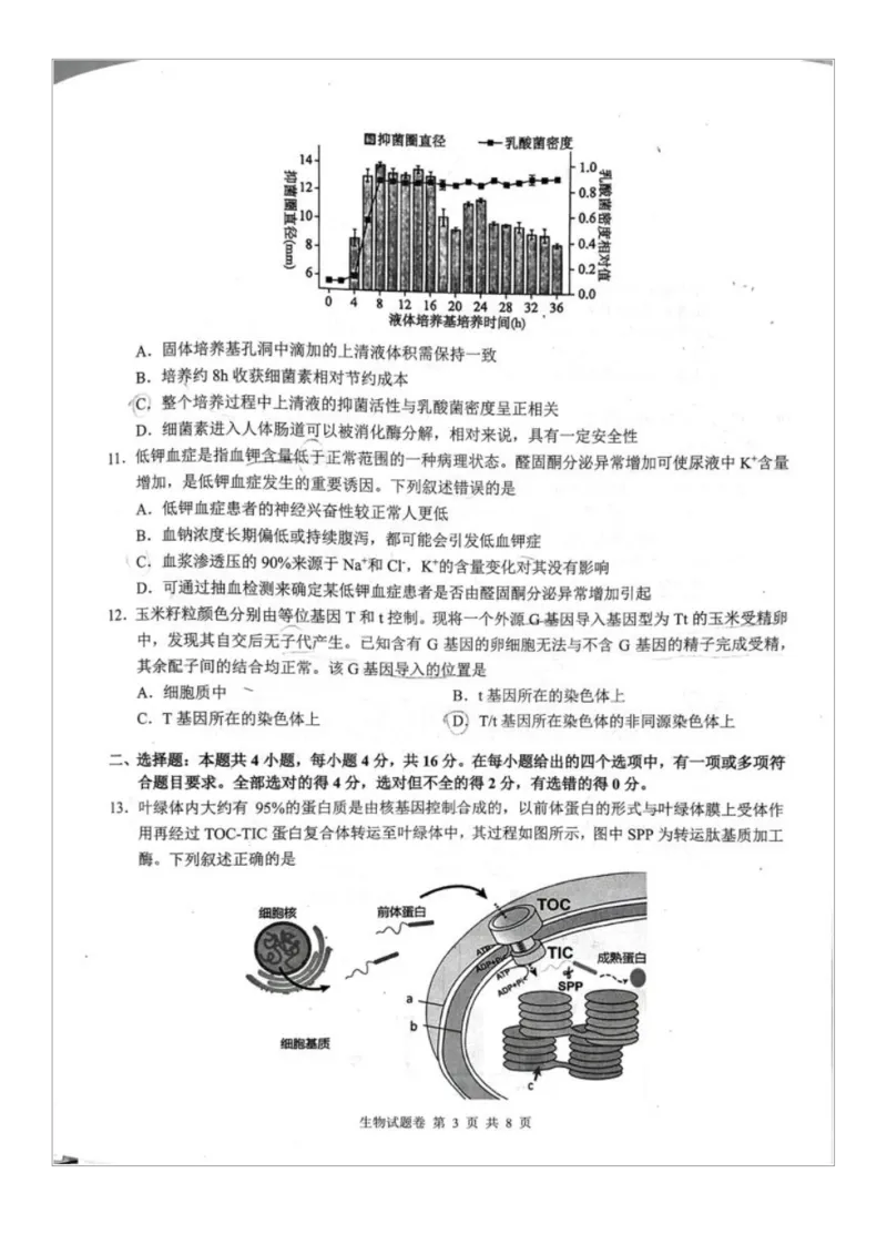 生物试题卷(1)_2026年1月_260124湖南省株洲市2025-2026学年高三上学期一模（湖南株洲一模）（全科）_湖南省株洲市2025-2026学年高三上学期一模生物试题（图片版，含答案）